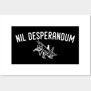 NIL DESPERANDUM Posters and Art